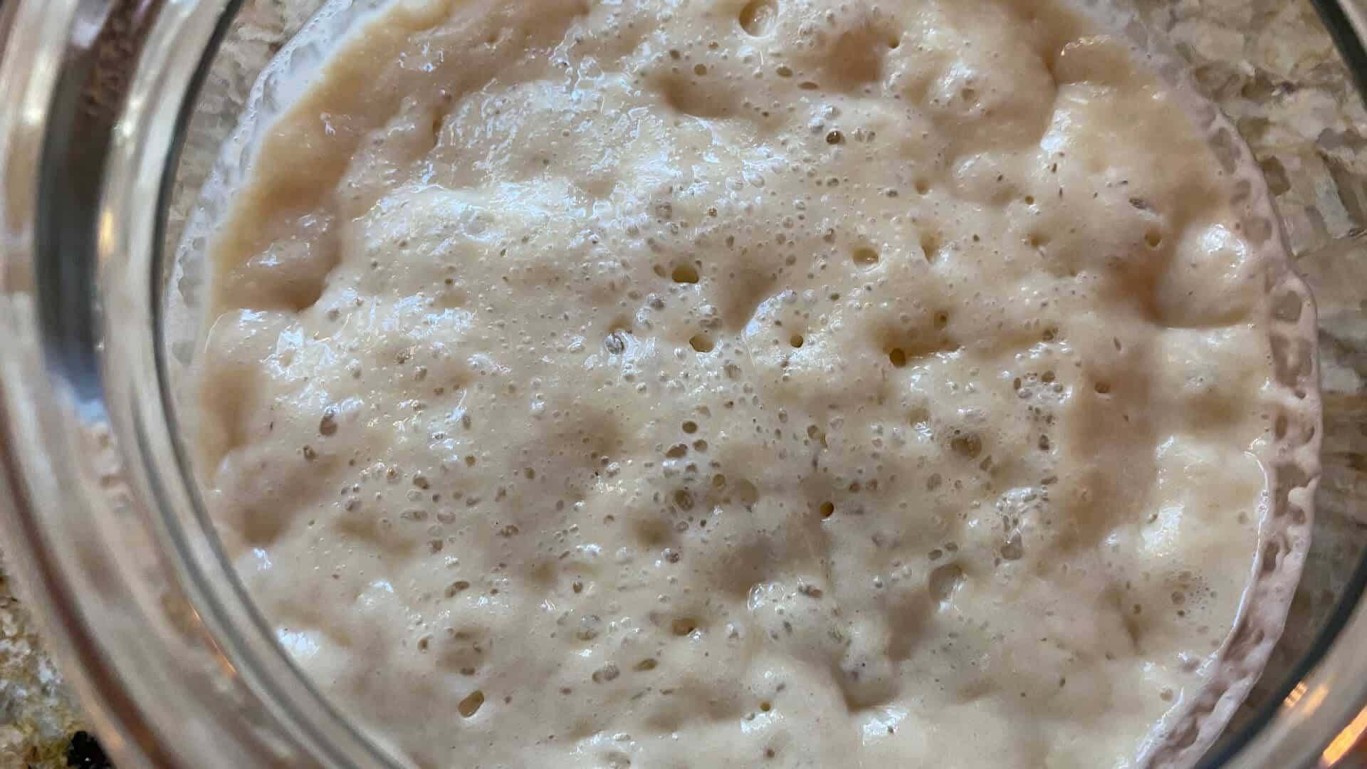 A bubbly liquid (sourdough starter) in a clear jar.